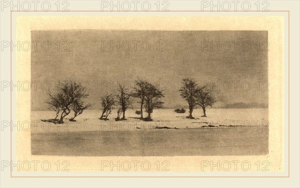 Peter Henry Emerson (British, 1856-1936), Gnarled-Thorn Trees, c. 1890, photogravure, printed c. 1895