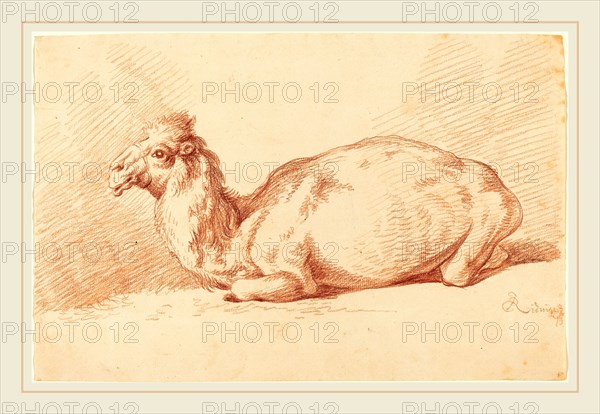 Johann Elias Ridinger (German, 1698-1767), A Dromedary, 1750s, red chalk on laid paper