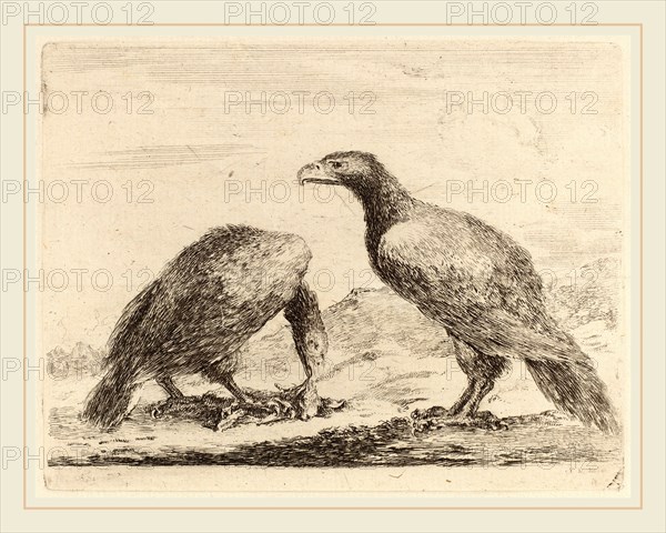 Stefano Della Bella (Italian, 1610-1664), Two Eagles, One Eating a Small Lamb, etching on laid paper [restrike]