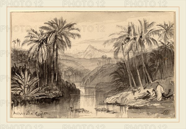 Edward Lear, Avisavella, Ceylon, British, 1812-1888, 1884-1885, gray wash on wove paper, laid down on card