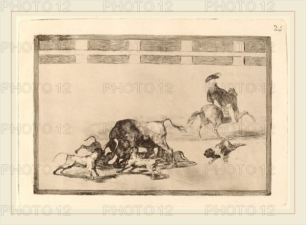 Francisco de Goya, Echan perros al toro (They Loose Dogs on the Bull), Spanish, 1746-1828, in or before 1816, etching, burnished aquatint and drypoint [first edition impression]