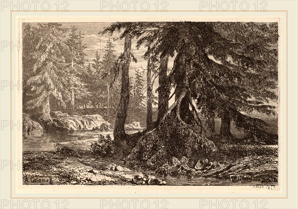 Alexandre Calame, Essais de gravure Ã  l'eau forte par Alexandre Calame, III, pl. 16, Swiss, 1810-1864, 1845, etching