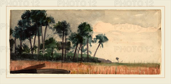 Winslow Homer, Palm Trees, Red, American, 1836-1910, 1890, watercolor over graphite