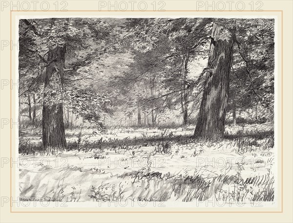Bolton Brown, Two Maples, American, 1865-1936, 1920, lithograph