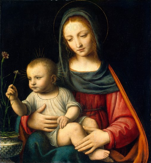 Bernardino Luini, The Madonna of the Carnation, Italian, c. 1480-1532, c. 1515, oil on panel