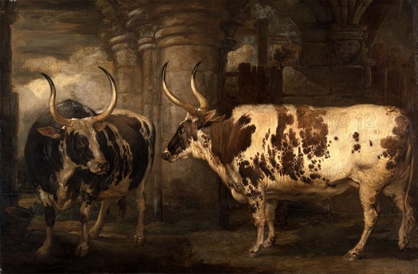 Portraits of two extraordinary oxen, the property of the Earl of Powis, James Ward, 1769-1859, British