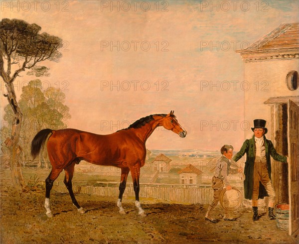 Sultan' at the Marquess of Exeter's Stud, Burghley House, Lambert Marshall, 1810-1870, British