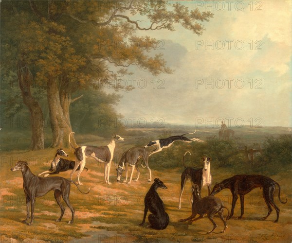 Nine Greyhounds in a Landscape Signed, lower right: "J. L. Agasse", Jacques-Laurent Agasse, 1767-1849, Swiss