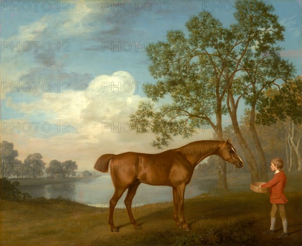 Pumpkin with a Stable-lad Signed and dated, lower right: "Geo: Stubbs pinxit | 1774", George Stubbs, 1724-1806, British