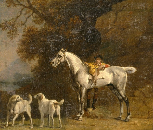 Studies for or after "The 3rd Duke of Richmond with the Charleton Hunt" Huntsman with a Grey Hunter and Two Foxhounds: details from the Goodwood 'Hunting' picture Study of the hunt servant adjusting the girth of the saddled grey horse on the right, George Stubbs, 1724-1806, British