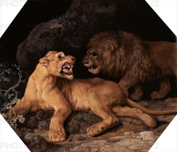 Lion and Lioness Signed and dated, white, lower right: "Geo Stubbs pinxit 1770", George Stubbs, 1724-1806, British