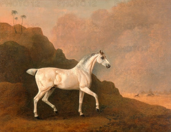 A Grey Arab Stallion in a Desert Landscape, John Boultbee, 1753-1812, British