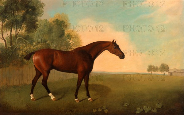 A Bay Horse in a Field Horse in a Landscape Signed and dated, lower right: "JB [in monogram] 1778", John Boultbee, 1753-1812, British