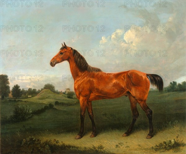 A Bay Horse in a Field Bay Hunter in a Landscape Signed, brown paint, lower right: "E. Bristow", Edmund Bristow, 1787-1876, British