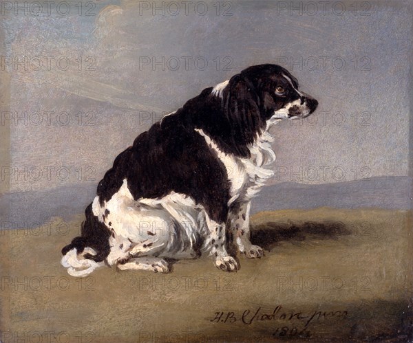The Duchess of York's Spaniel Signed and dated, lower right: "H. B. Chalon | 1804", Henry Bernard Chalon, 1771-1849, British
