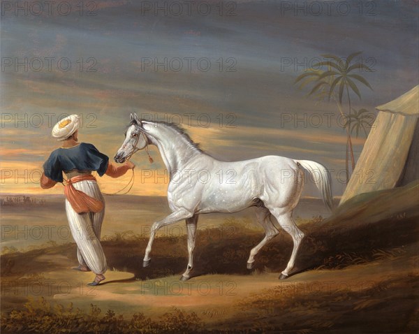 Signal, a Grey Arab, with a Groom in the Desert Inscribed in paint, lower center: "Signal." Signed and dated in brown paint, lower left: "D. Dalby. York | 1829", David Dalby of York, 1780-1849, British