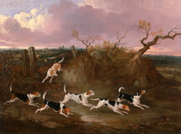 Beagles in Full Cry Harriers Signed and dated in orange color paint, lower left: "Dalby, 1845", John Dalby, active 1826-1853, British