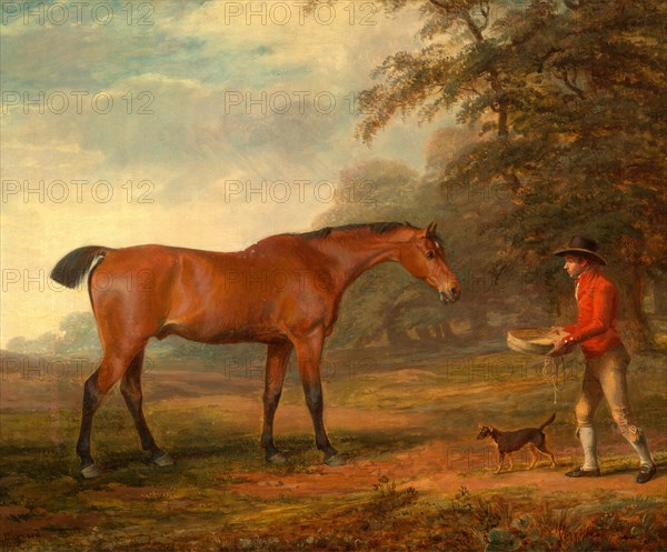 A Bay Horse Approached by a Stable-Lad with Food and a Halter Signed and dated in brown paint, lower left: "Garrard | 1789", George Garrard, 1760-1826, British