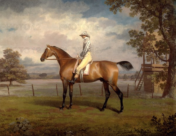 Portrait of a Racehorse, Possibly Disguise, the Property of the Duke of Hamilton, with Jockey Up ? The Duke of Hamilton's Disguise with Jockey Up Racehorse with Jockey up Signed and dated, lower right: "g garrard | 17 6", George Garrard, 1760-1826, British