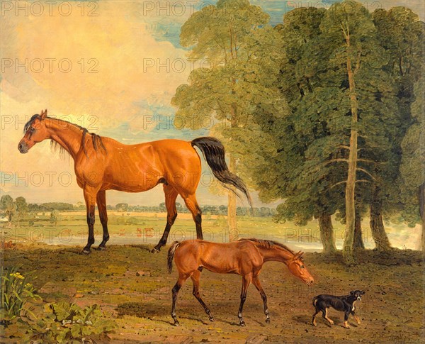 Broodmare with Foal, and a Terrier Broodmare with Foal and Terrier Near Newmarket: Broodmare with Foal and Terrier Signed and dated, lower right: "B Marshall pt | 1822", Benjamin Marshall, 1767-1835, British