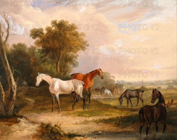 Horses Grazing: a Grey Stallion Grazing with Mares in a Meadow Mares and Foals Signed and dated in black paint, lower left: "F. C. Turner | 1830", Francis Calcraft Turner, active 1782-1846, British
