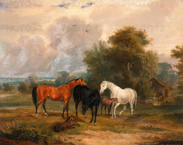 Horses Grazing: Mares and Foals in a Field Mares and Foals Signed and dated in brown paint, lower right: "F. C. Turner | 1830", Francis Calcraft Turner, active 1782-1846, British