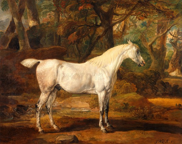 Grey Arabian stallion, the property of Sir Watkin Williams-Wynn Signed, lower right: "JWard [monogram] R. A.", James Ward, 1769-1859, British