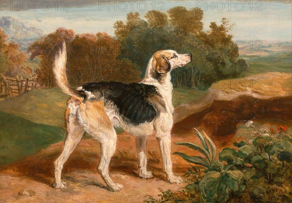 Ravager, One of the Lambton Hounds A Foxhound in a Landscape Signed and dated in brown paint, lower right: "JWARD [monogram] RA | 1835"; branded on verso: "IW RA", James Ward, 1769-1859, British