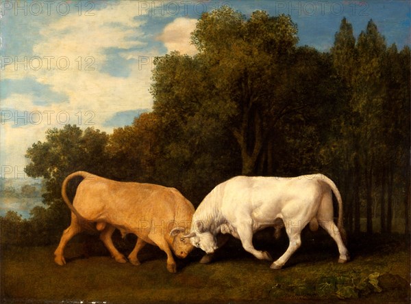 Bulls Fighting Signed and dated, lower right: "geo : stubbs pinxit | 1786", George Stubbs, 1724-1806, British