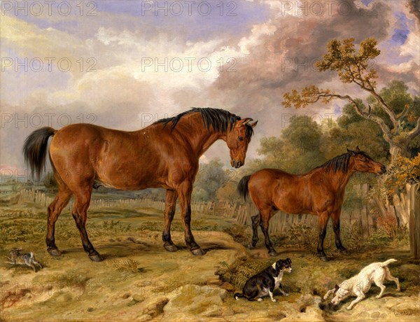 Portrait of Reformer, Blucher, Tory and Crib, the Property of Rowland Alston, Esq., M.P. Reformer, Blucher, Tory and Crib, Animals Owned by Rowland Alston, M.P. of Pishobury Signed and dated in brown paint, lower right: "JWARD [monogram] RA. 1835", James Ward, 1769-1859, British