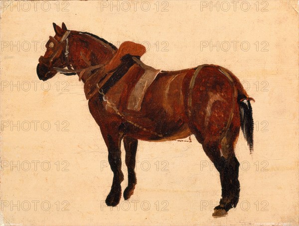 Study of a Working Horse, Thomas Sidney Cooper, 1803-1902, British