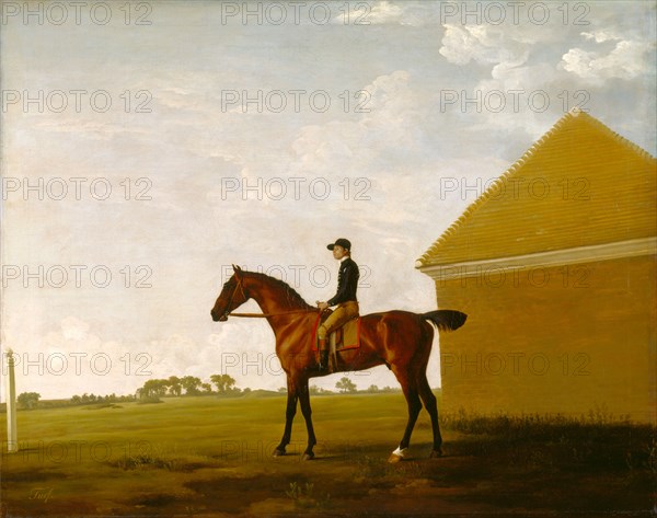 Turf, with Jockey up, at Newmarket Portrait of 'Turf' with Jockey up Inscribed lower left: "Turf", George Stubbs, 1724-1806, British