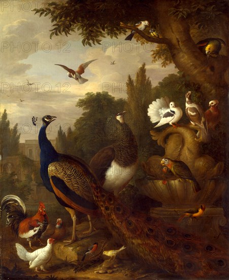 Peacock, peahen, parrots, canary, and other birds in a park Signed, lower center: "J. Bogdani", Jacob Bogdani, 1660-1724, Hungarian