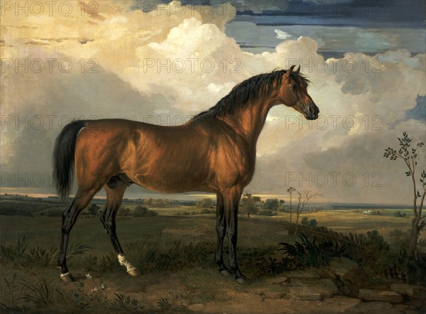 Eagle, a Celebrated Stallion Eagle, a stallion Signed and dated, lower left: "[monogram] 1809", James Ward, 1769-1859, British