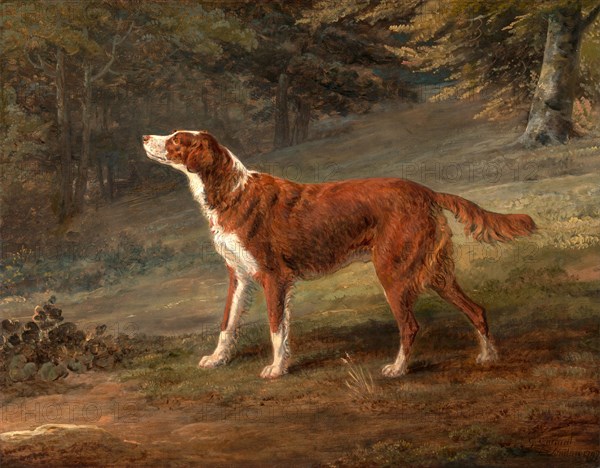 Ranger, a setter, the property of Elizabeth Gray Ranger, Mrs. Elizabeth Gray's Setter Signed and dated, lower right: "G. Garrard | London 1797", George Garrard, 1760-1826, British