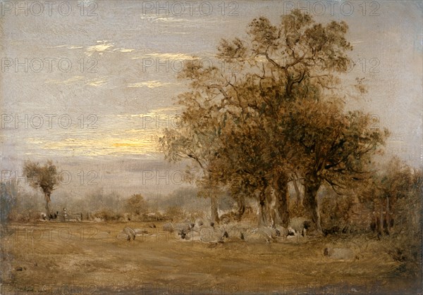 Sheep Grazing Dated in yellow paint, lower left: "June 16 18 [...]", John Linnell, 1792-1882, British