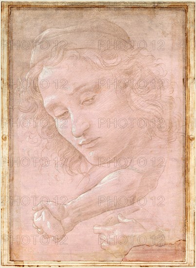 Sandro Botticelli, Italian (1446-1510), Head of a Youth Wearing a Cap; a Right Forearm with the Hand Clutching a Stone; and a Left Hand Holding a Drapery, 1480-1485, metalpoint heightened with white gouache on mauve-prepared paper