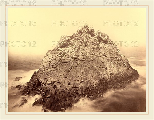 Carleton E. Watkins, Sugar Loaf Island, Farallons, American, 1829-1916, 1868-1869, albumen print from collodion negative