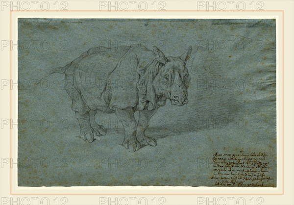 Johann Elias Ridinger, German (1698-1767), The Rhinoceros "Miss Clara", 1748, black chalk on blue laid paper