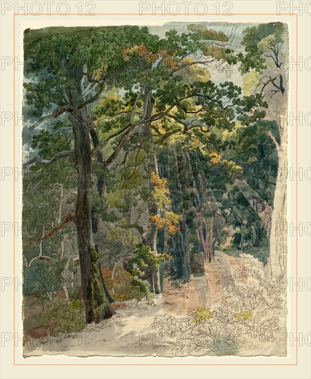 Friedrich Salathé, Swiss (1793-1858), Rays of Sunlight Striking a Woodland Path, c. 1815, pen and black ink with watercolor over graphite on wove paper