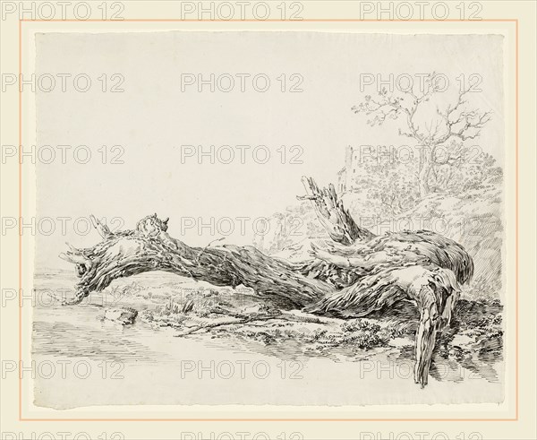 Jean-Antoine Constantin, French (1756-1844), An Ancient Tree Fallen Beside a Stream, c. 1814, pen and black and gray ink over black chalk on laid paper