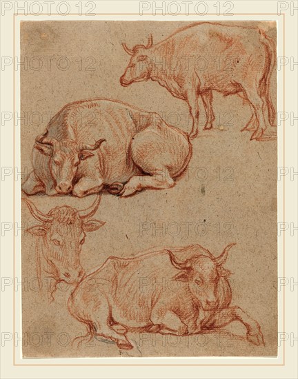 Claude Lorrain, French (1604-1605-1682), Four Cows, red and black chalks with gray wash on laid paper