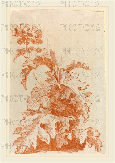 Jean-Baptiste HÃ¼et, I, French (1745-1811), Poppy in Bloom, mid 1760s, red chalk counterproof on laid paper