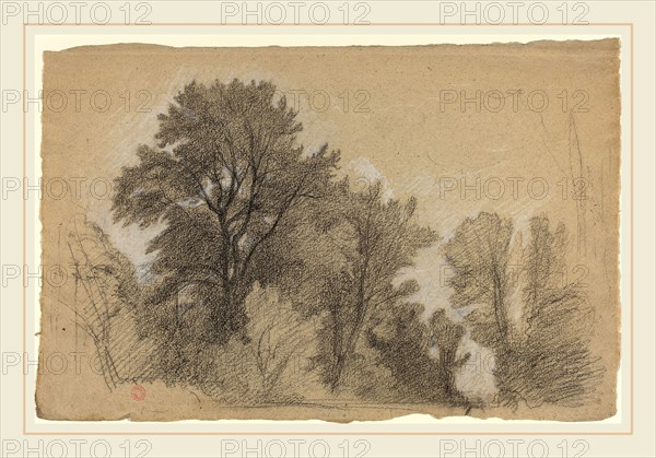 Jean Achille Benouville, French (1815-1891), Edge of a Wood, c. 1840, black and white chalk on buff laid paper