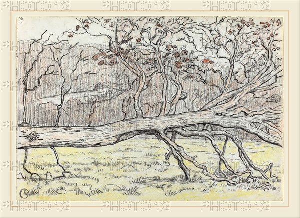 Georges Lacombe, French (1868-1916), Felled Tree, Normandy, 1898, charcoal with red-brown and yellow crayon