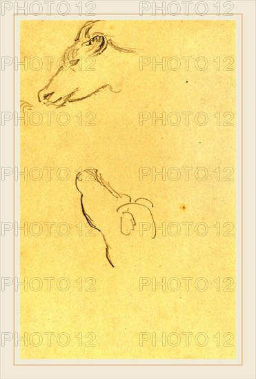 Paul Gauguin, French (1848-1903), Head of a Cow [recto], 1884-1888, graphite on wove paper