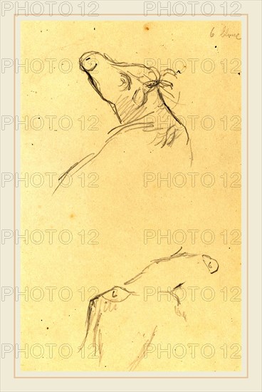 Paul Gauguin, French (1848-1903), Two Cow's Heads [verso], 1884-1888, graphite on wove paper