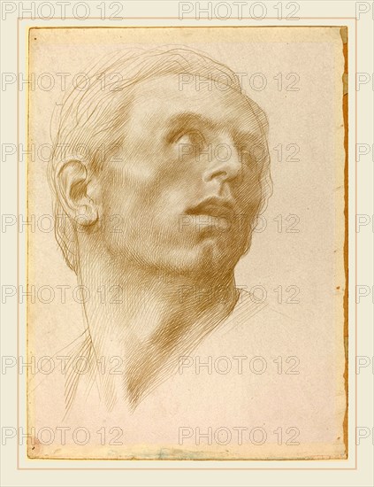 Alphonse Legros, Head of a Man Looking Up to the Right, French, 1837-1911, metalpoint on prepared paper