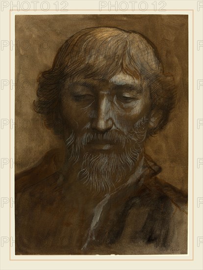 Alphonse Legros, Head of a Man, Full Face, French, 1837-1911, graphite and black chalk with brown wash, heightened with white, on laid paper