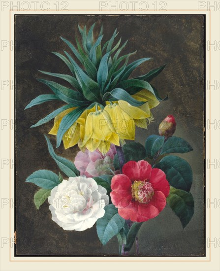 Pierre Joseph Redouté, French (1759-1840), Four Peonies and a Crown Imperial, watercolor and gouache over graphite on parchment mounted on board